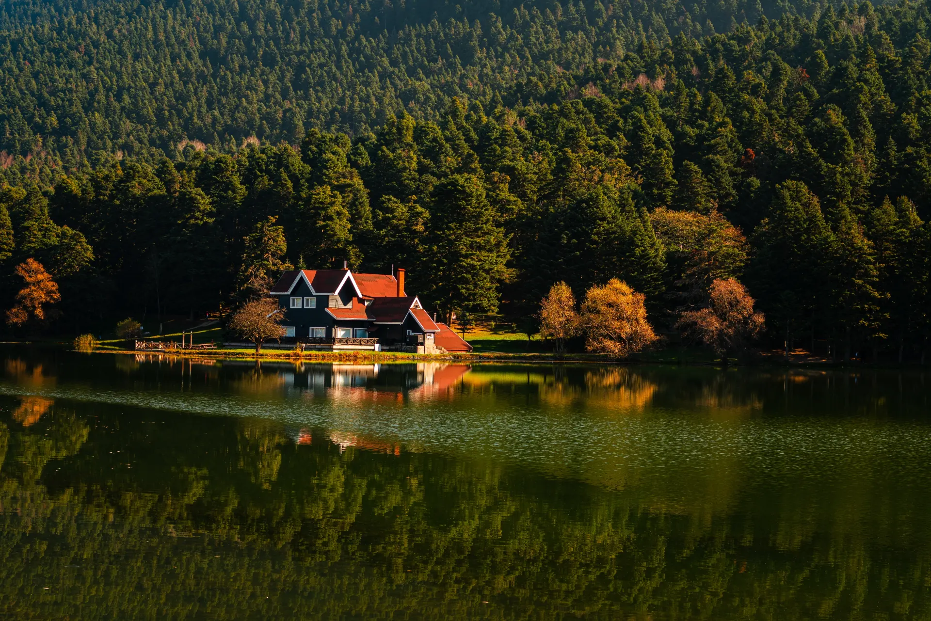Bolu'da satılık daire ve yaşam rehberi